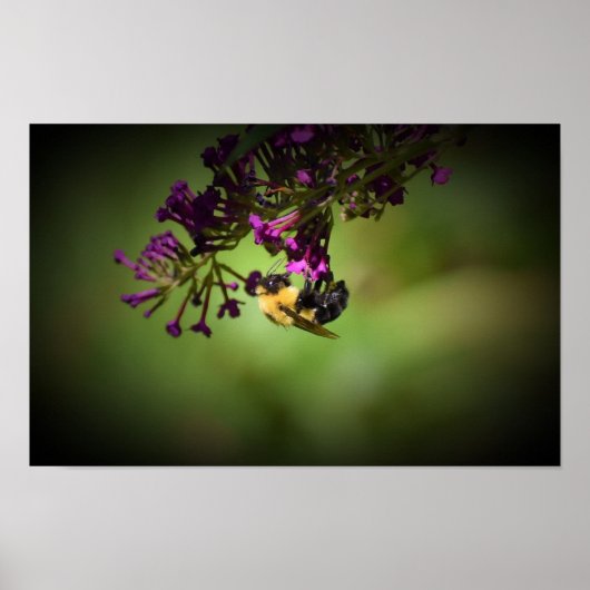 ビー ポスター (正面)