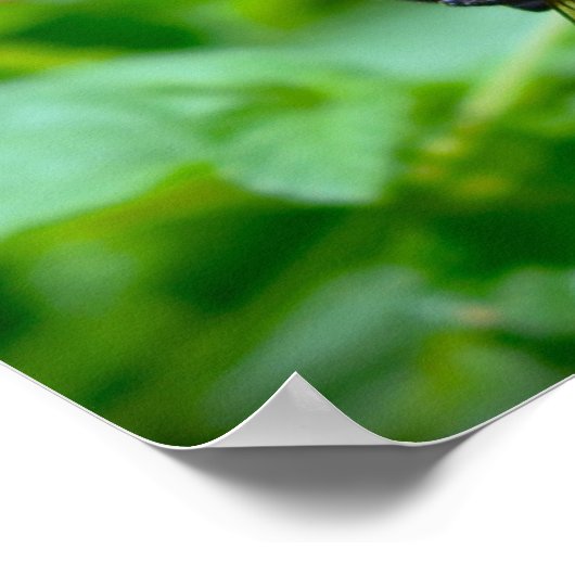 ビー ポスター (角)