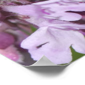 ビー ポスター (角)