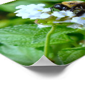 ビー ポスター (角)