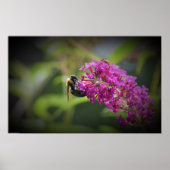 ビー ポスター (正面)