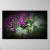 ビー ポスター (正面)