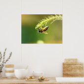 ビー ポスター (キッチン)