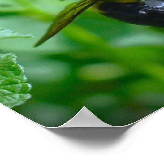 ビー ポスター (角)