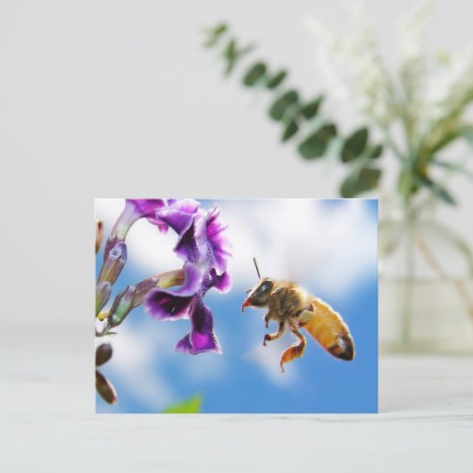 ビー ポストカード (スタンド正面)