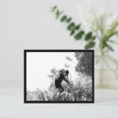 ビー ポストカード (スタンド正面)