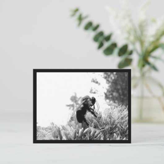 ビー ポストカード (スタンド正面)