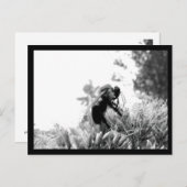 ビー ポストカード (正面/裏面)