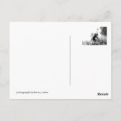 ビー ポストカード (裏面)