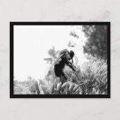 ビー ポストカード (正面)