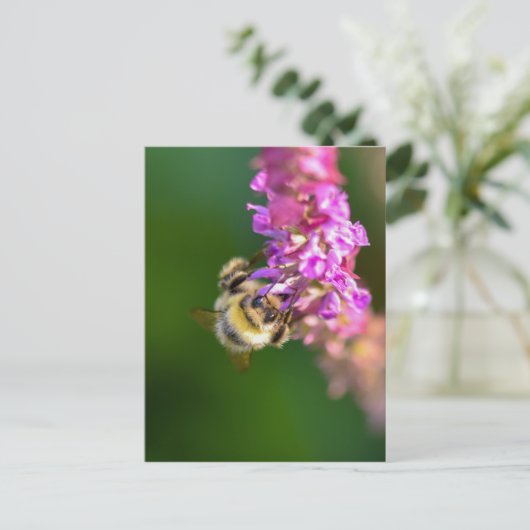 ビー ポストカード (スタンド正面)