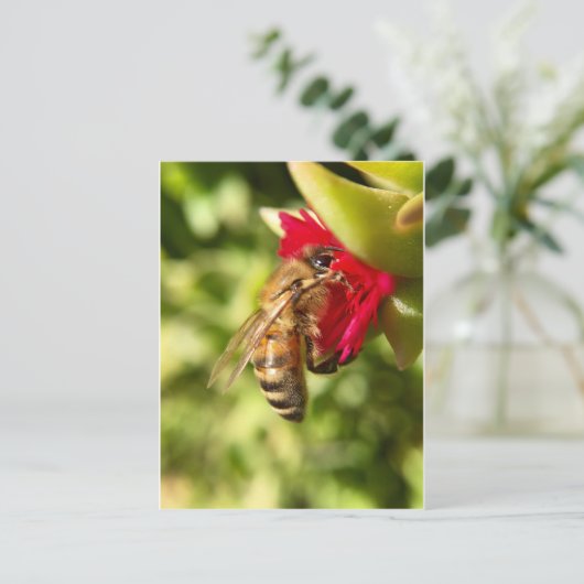 ビー ポストカード (スタンド正面)