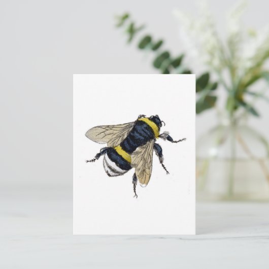 ビー ポストカード (スタンド正面)