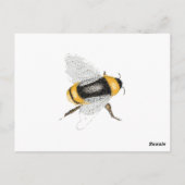 ビー ポストカード (裏面)