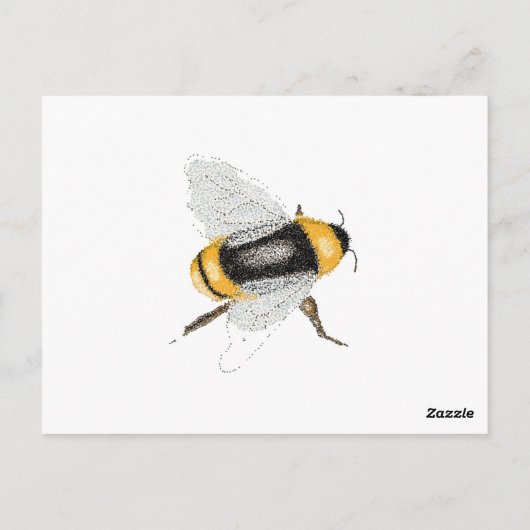 ビー ポストカード (裏面)