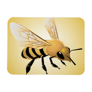 ビー マグネット