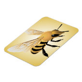 ビー マグネット (左側)