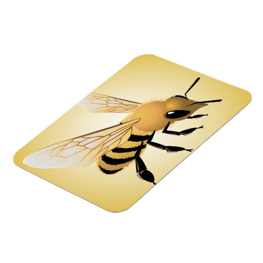 ビー マグネット (左側)