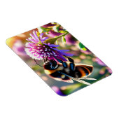 ビー マグネット (右側)