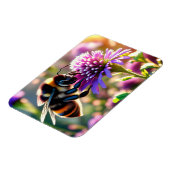 ビー マグネット (左側)