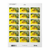 ビー ラベル (フルシート)