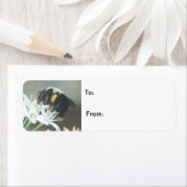 ビー ラベル (インサイチュ)