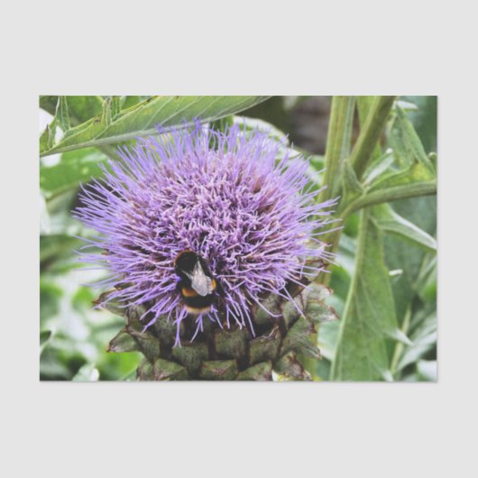 ビー 薄葉紙 (正面)