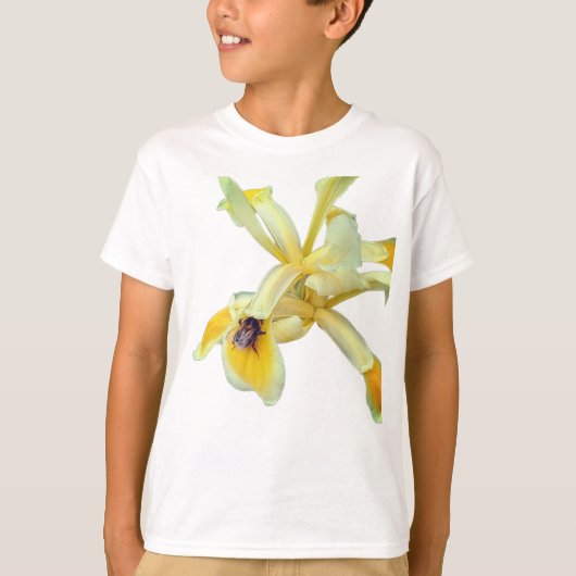 ビー、黄色い花の上 Tシャツ (正面)