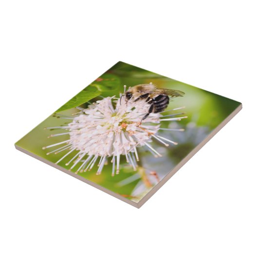 ビ忙しー タイル (側面)