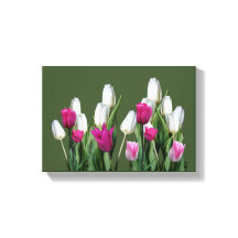 ピかわいらしックモダンカラフルチューリップフローラデジタル