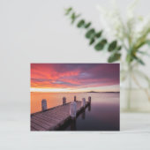 ピアアットイラワラ ポストカード (スタンド正面)