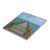 ピアアットコーラルコーストフィジー タイル (側面)