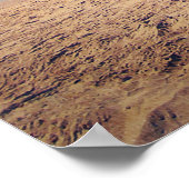 ピアアットヘルモザビーチ ポスター (角)