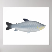 ピアウアス