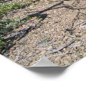 ピアソルピークファイアールックアウトカルミオプシワイルダネス ポスター (角)