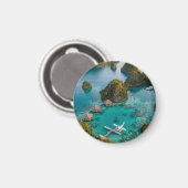 ピアネモ ラジャアンパット諸島 パラダイスビュー アート マグネット (正面/裏面)