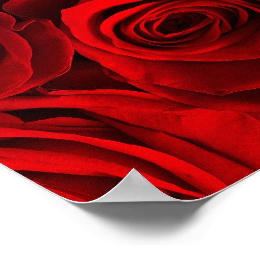 ピアノとバラ ポスター (角)