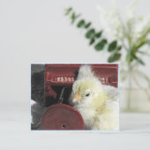 ピアノのひよこヴィンテージの見た目の写真 ポストカード (スタンド正面)