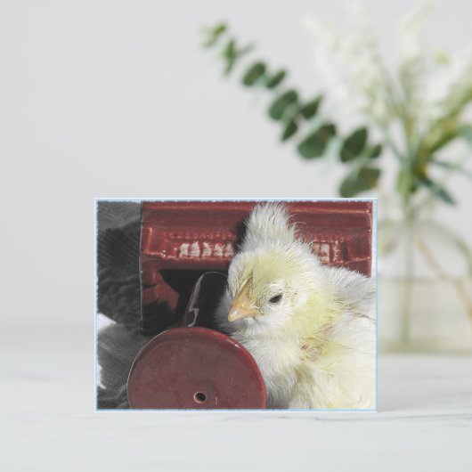 ピアノのひよこヴィンテージの見た目の写真 ポストカード (スタンド正面)