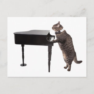 ピアノを弾く猫 ポストカード