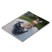 ピアノキャットおもしろいソマリアキャットミュージシャンズ遊ピアノ ノートブック (左側)