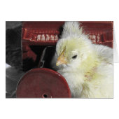 ピアノシックヴィンテージルックすべての行事 (正面横)