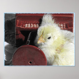 ピアノシックヴィンテージルックフォト ポスター