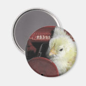 ピアノシックヴィンテージルックフォト マグネット (正面/裏面)