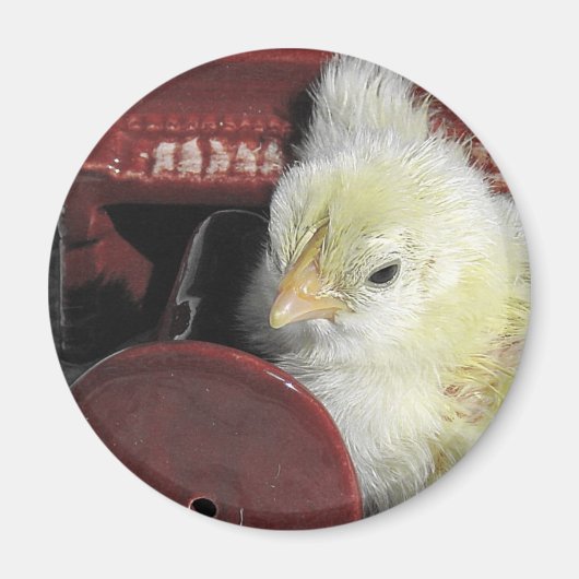 ピアノシックヴィンテージルックフォト マグネット (正面)