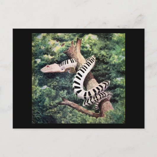 ピアノスネーク ポストカード (正面)