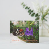 ピアノバタフライハガキ/引用文 ポストカード (スタンド正面)