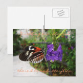 ピアノバタフライハガキ/引用文 ポストカード (正面/裏面)