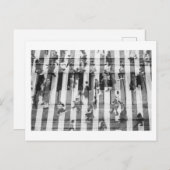 ピアノファイド ポストカード (正面/裏面)