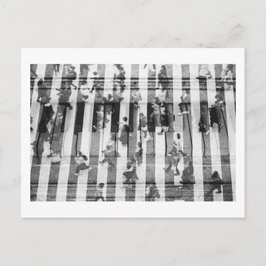 ピアノファイド ポストカード (正面)